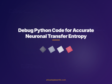 Debug Python Code for Accurate Neuronal Transfer Entropy